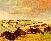 George Catlin Buffalo Bulls Fighting in Running Season-Upper Missouri painting